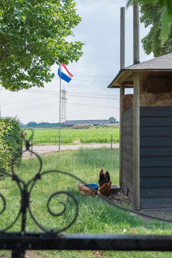 De Dorsvloer Apartment Drimmelen Luaran gambar